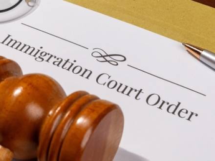 IL immigration lawyer